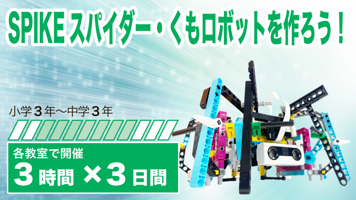 サムネ画像_蜘蛛.png