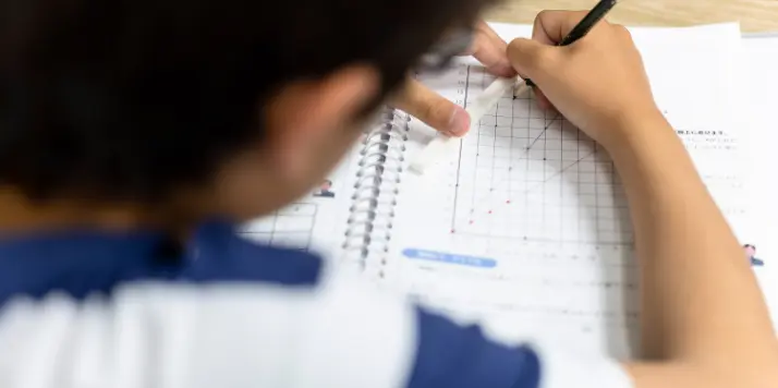 理数を学ぶカリキュラム